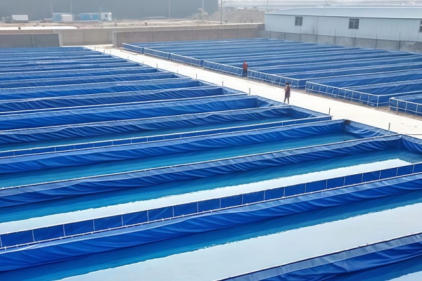 The “Tesla Model” Of Bullfrog Farming
